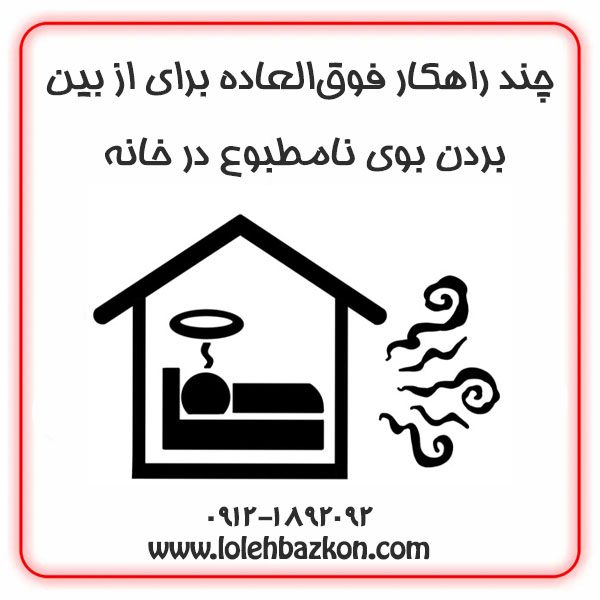 از بین بردن بوی بد خانه