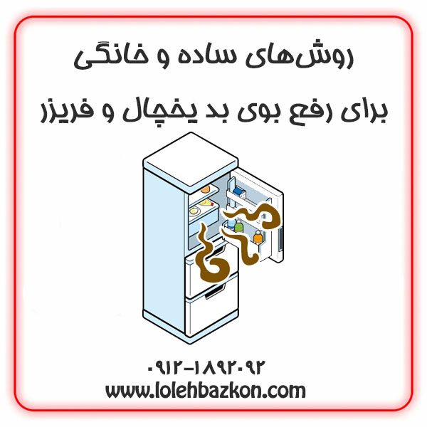 رفع بوی بد یخچال و فریزر